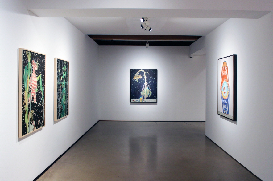 Installation view_space 1