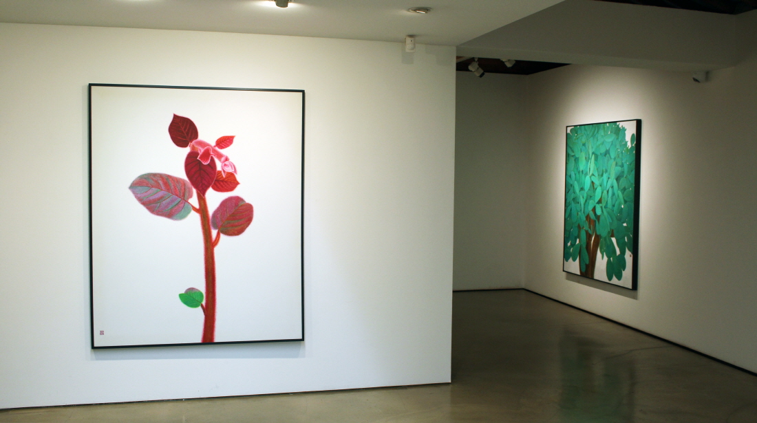 Installation view_Space1