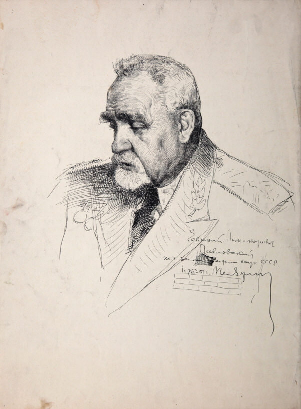 E. N. Pavlovski, 1956, Ink, pen on paper, 51.5×38cm