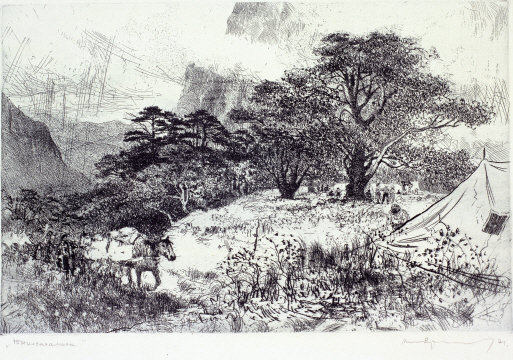 Yuzhno-Sakhalinsk, 1967, Etching, 32×49.5cm