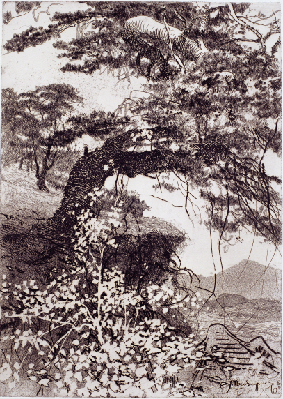 Pine Tree, 1962, Etching, 49×34.5cm
