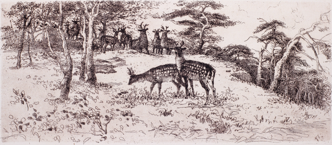 Artyom National Animal Farm, Deers, 1981, Etching, 21.2×49cm