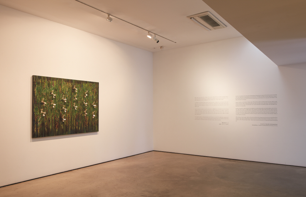 Installation view