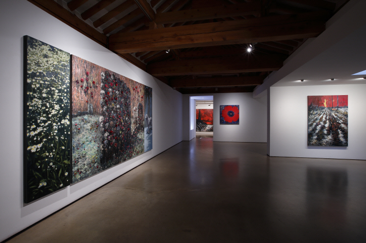 Installation view