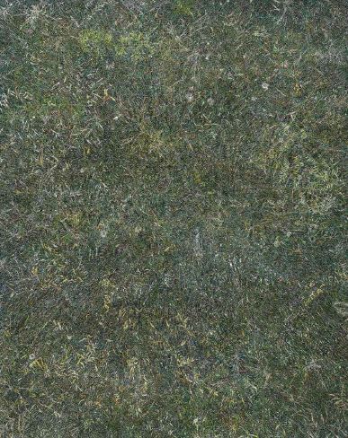Grass01, 2016, Oil on canvas, 227x182cm