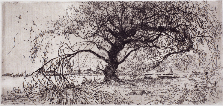 Waterside (Willow), 1970, Etching, 14×29.3cm