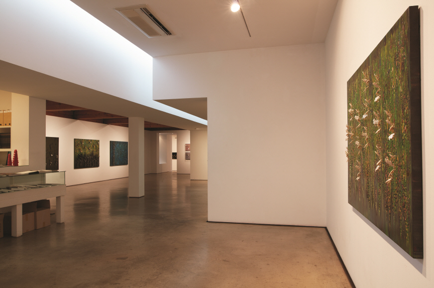 Installation view