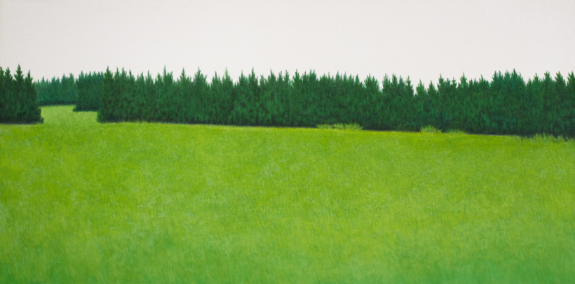 Towards, 2011, Color on fabric, 150x300cm