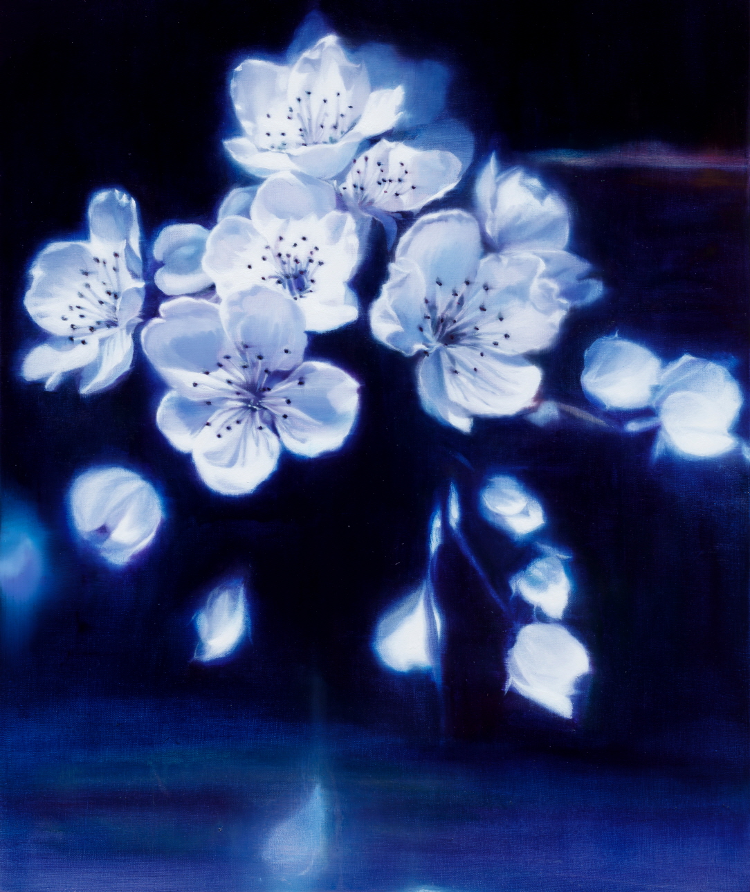 김정선, 배꽃, 2016, oil on linen, 73x61cm