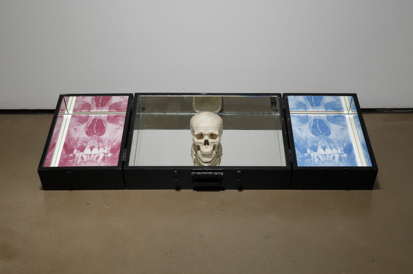 The Bag of ‘□’, 2010-2014, Silkscreen on ceramic panel, articial skull, wooden box, 46x131x12cm