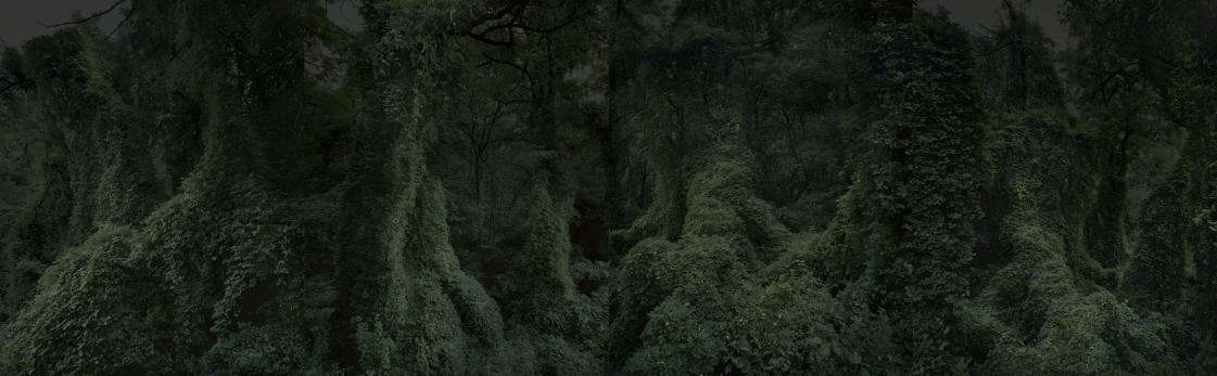 THE VALLEY OF DARKNESS, 2016, Digital C-print, 225x720cm