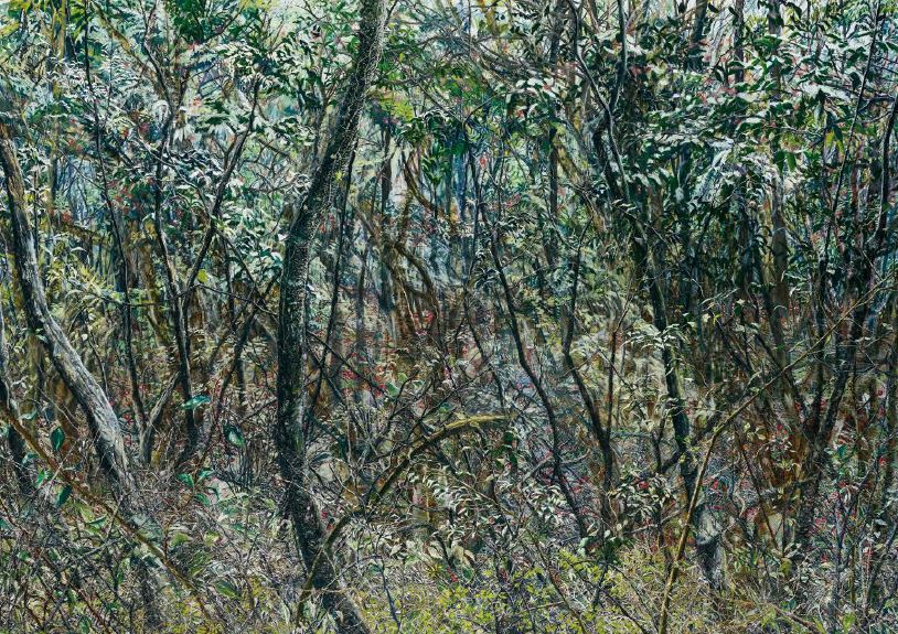 Forest06, 2015, Oil on canvas, 182x259cm