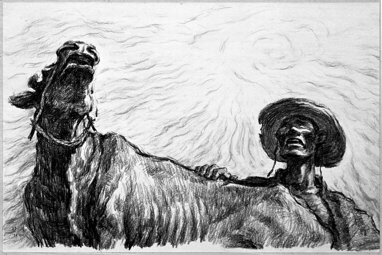 Drought, 1991, Conte on paper, 34.4x51.2cm