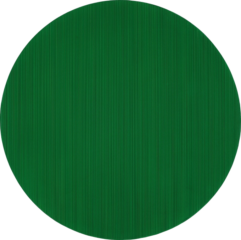 Who likes Green?, 2017, Acrylic on epoxy resin, aluminum frame, 91(d)x7cm