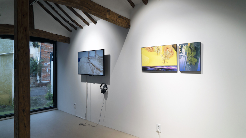 Hakgojae Design | PROJECT SPACE_Installation View