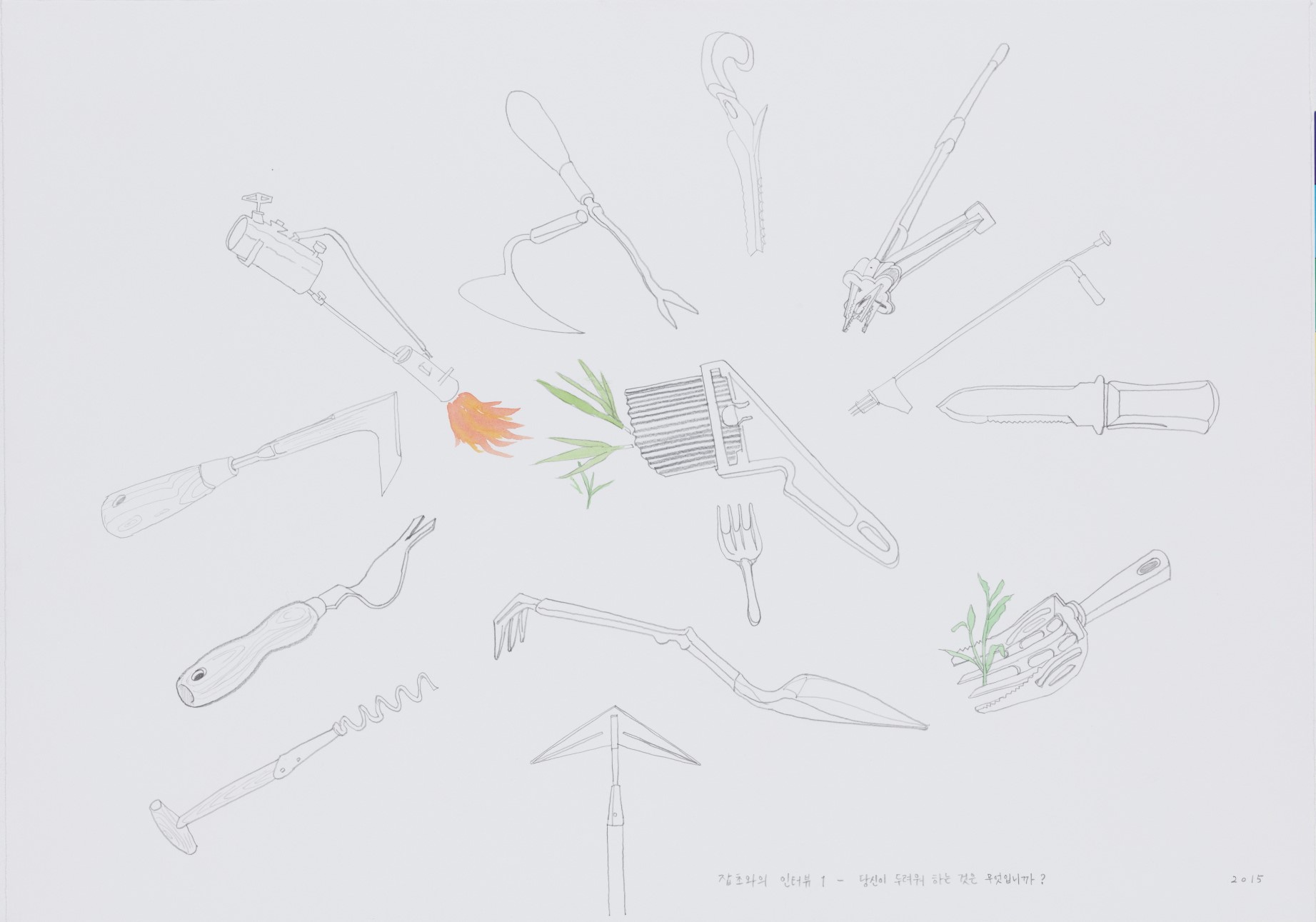 김제민, 잡초와의 인터뷰 - 당신이 두려워하는 것은 무엇입니까, 2015, 종이에 연필 수채, 50x70cm