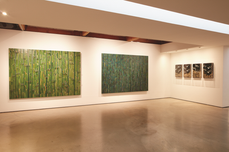 Installation view