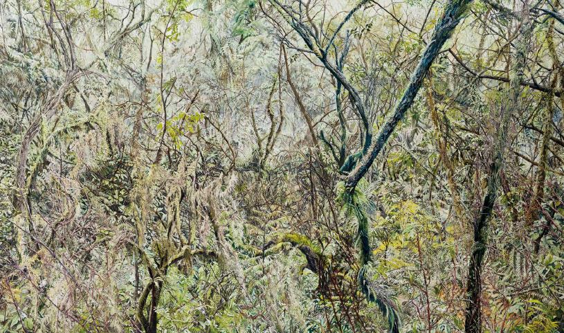 Forest02, 2015, Oil on canvas, 197x333cm