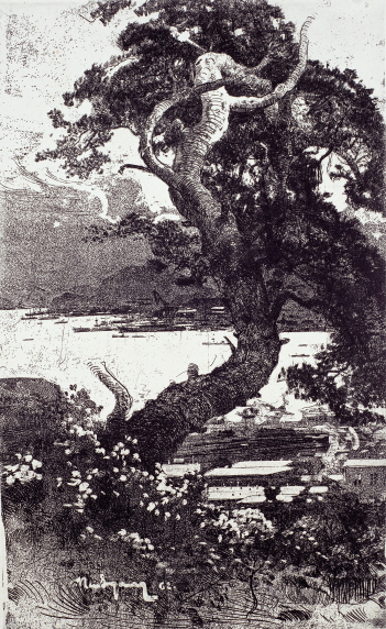 Pine Tree of Nakhodka, 1962, Etching, 64.5×39.5cm