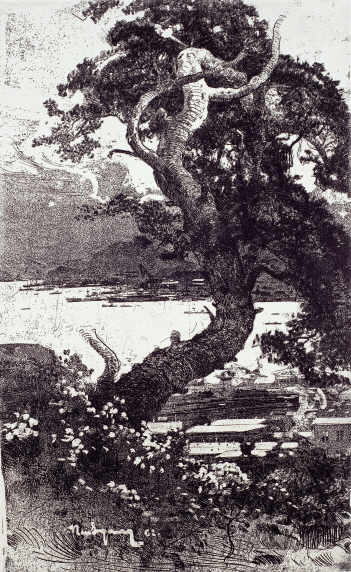 Pine Tree of Nakhodka, 1962, Etching, 64.5×39.5cm