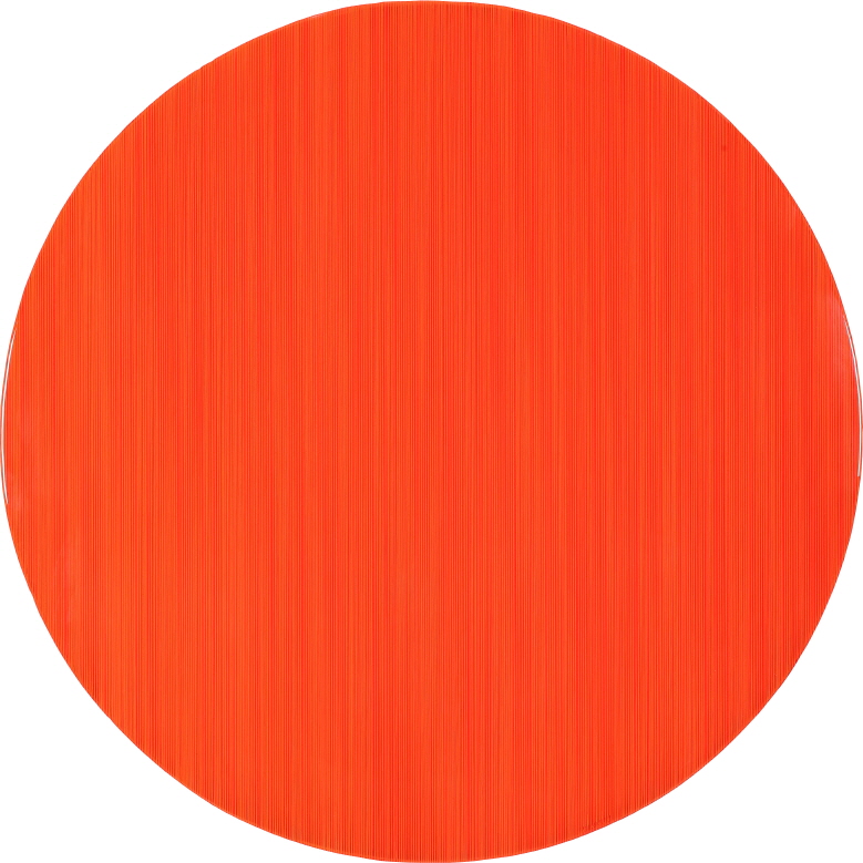 Who Likes Orange?, 2017, Acrylic on epoxy resin, aluminum frame, 91(d)x7cm