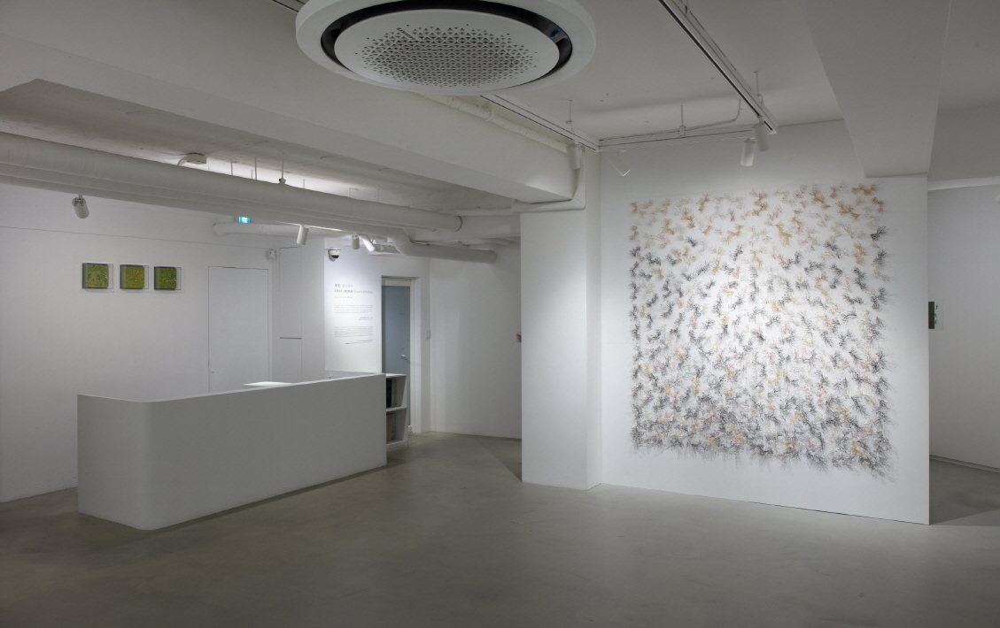 Installation view