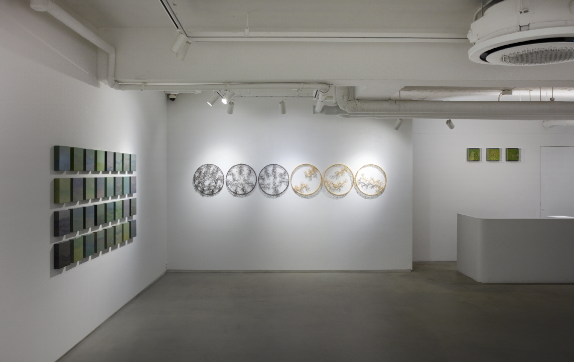 Installation view