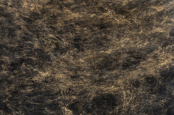 Luminescence, Here and There YL_8 (Tens of Thousands of Flowers Bloom and Fall), 2015, Archival Pigment Print, 110x180cm