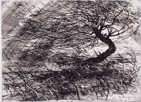 Rain (Willow), 1971, Etching, 18×24.3cm