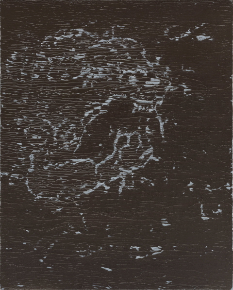 No. 3, 2016, Oil on cavnas, 100x80cm