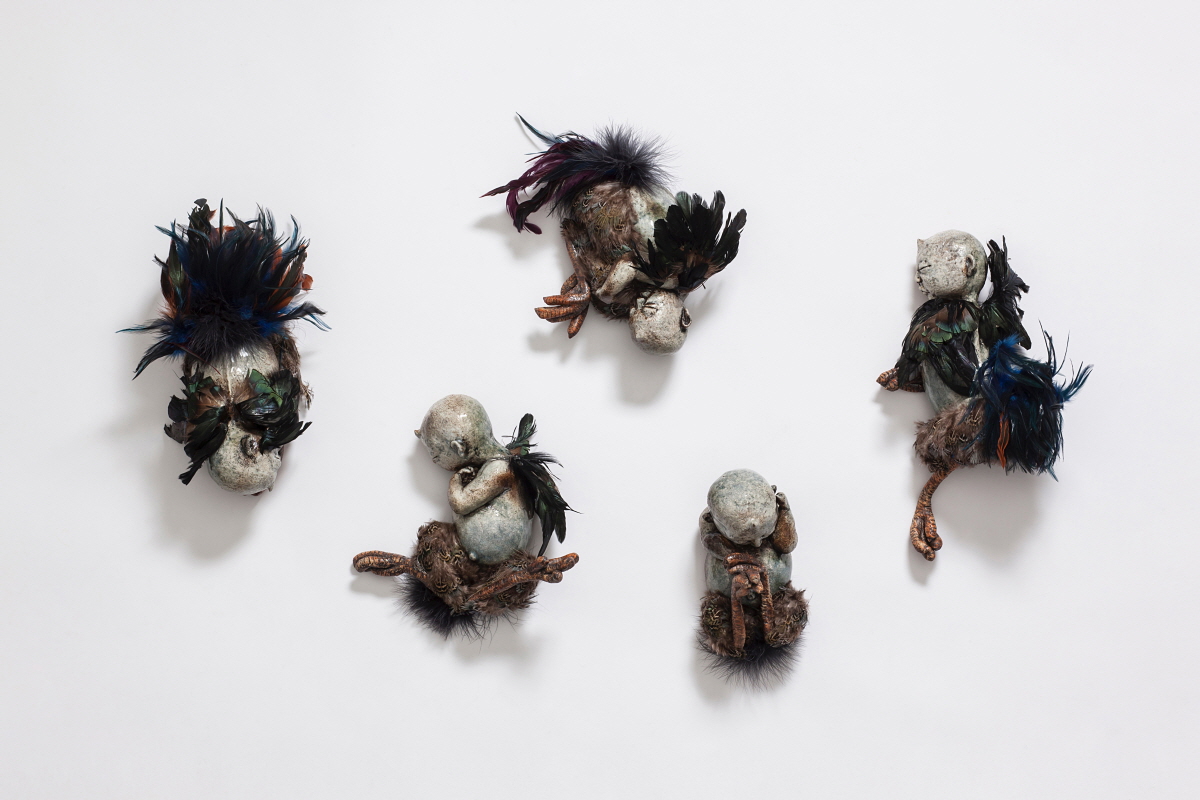 Beautiful Freaks, 2014, ceramics, feather, 10 x 14 x 19(h)cm, 24 x 23 x 12(h)cm, 27 x 18 x 12(h)cm, 32 x 15 x 20(h)cm, 28 x 24 x 12(h)cm