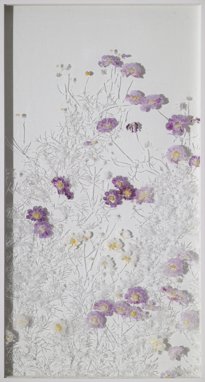 안정민, 은골단심-코스모스17, 2014, cast acrylic on polycarbonate panel, 122x63.8cm