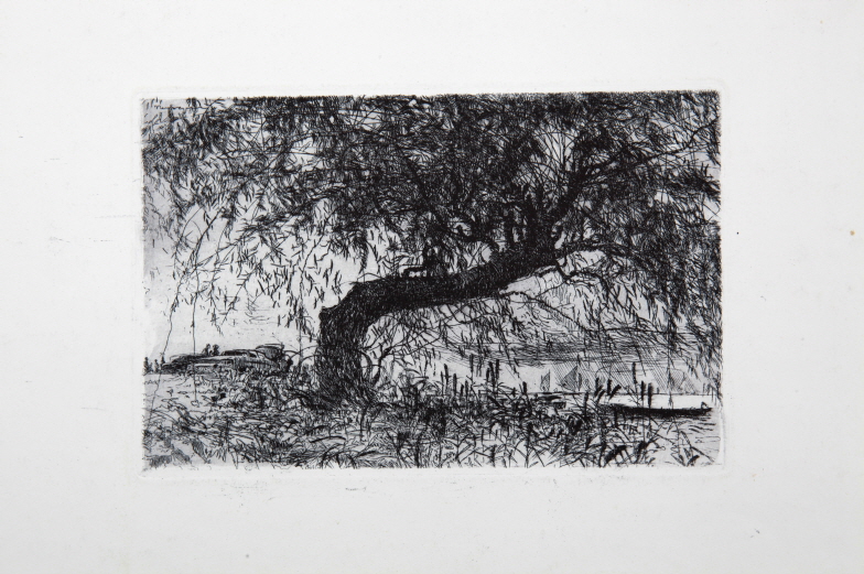 Waterside Willow, 1988, Etching, 17.5×26.8cm