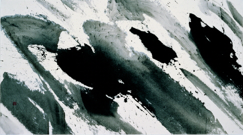KIM Ho-deuk Dalles 2008 Korean ink on cotton cloth 82x150cm
