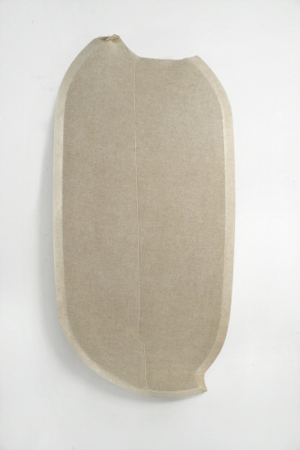 Choong Sup, LIM Ssal- Dichotomy 2009 Canvas, rabbit skin glue, U.V.L.S gel 30x58x3 inch