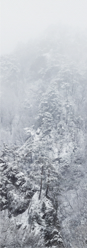 BOOMOON Untitled #3721  Seorak  2010  C-Print  305.6×124.6cm