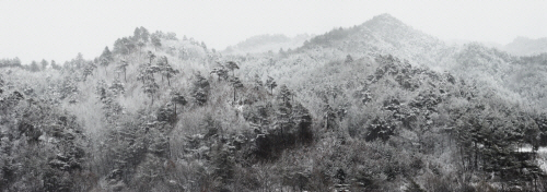 BOOMOON Untitled #2030  Hongcheon  2010  C-Print  187.2×480.6cm