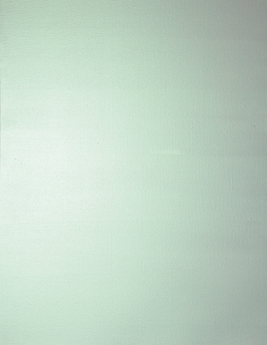 Landscape - G  2012  acrylic on canvas  218 x 140 cm