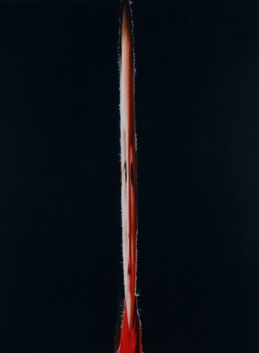 No.6, 2008,  Oil on Canvas,   200x150cm