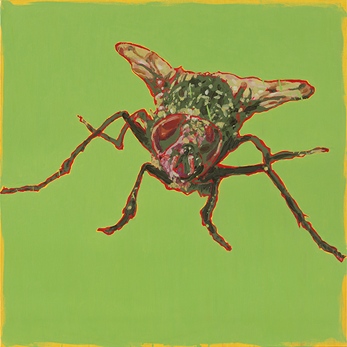 Eradication of Four Pests - Fly, 2014, Oil on canvas, 100x100cm