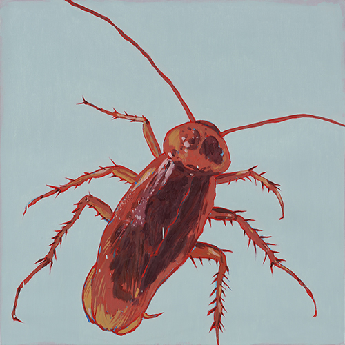 Eradication of Four Pests - Cockroach, 2014, Oil on canvas, 100x100cm